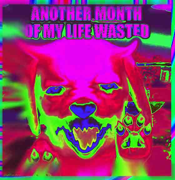 another month of my life wasted evil acid nintendogs edit